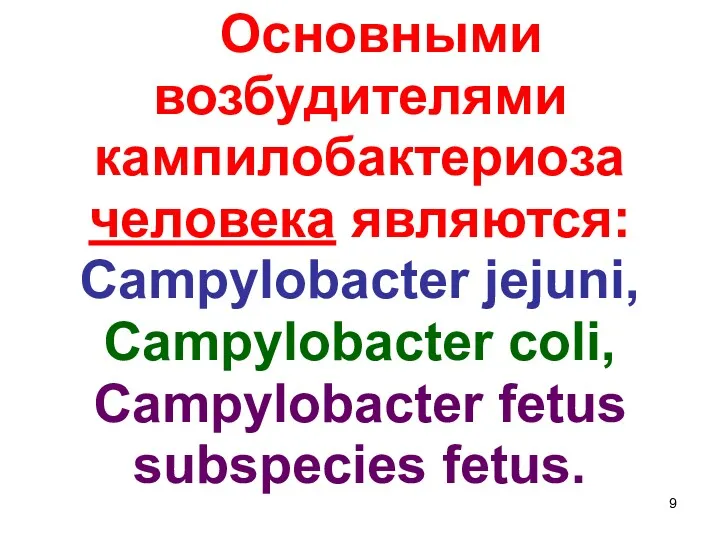 Основными возбудителями кампилобактериоза человека являются: Campylobacter jejuni, Campylobacter coli, Campylobacter fetus subspecies fetus.