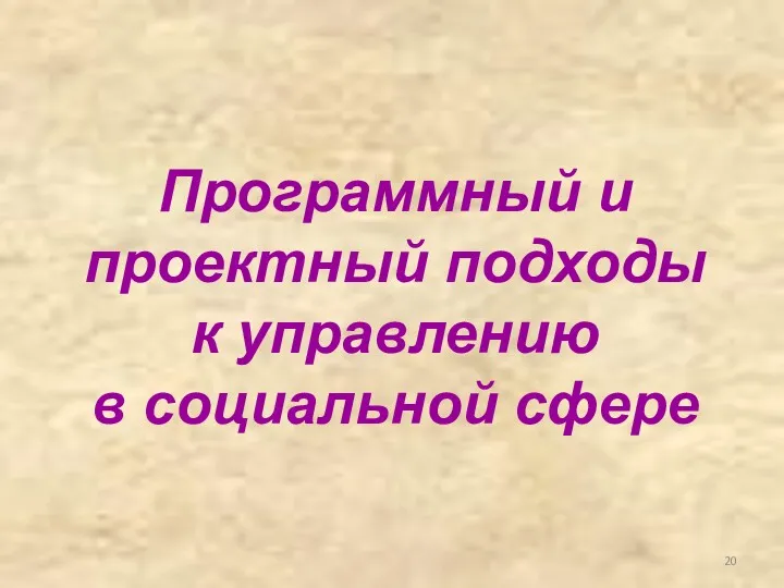 Программный и проектный подходы к управлению в социальной сфере