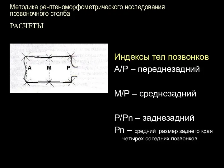 Методика рентгеноморфометрического исследования позвоночного столба РАСЧЕТЫ Индексы тел позвонков А/Р