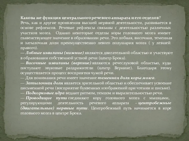 Какова же функция центрального речевого аппарата и его отделов? Речь, как и другие