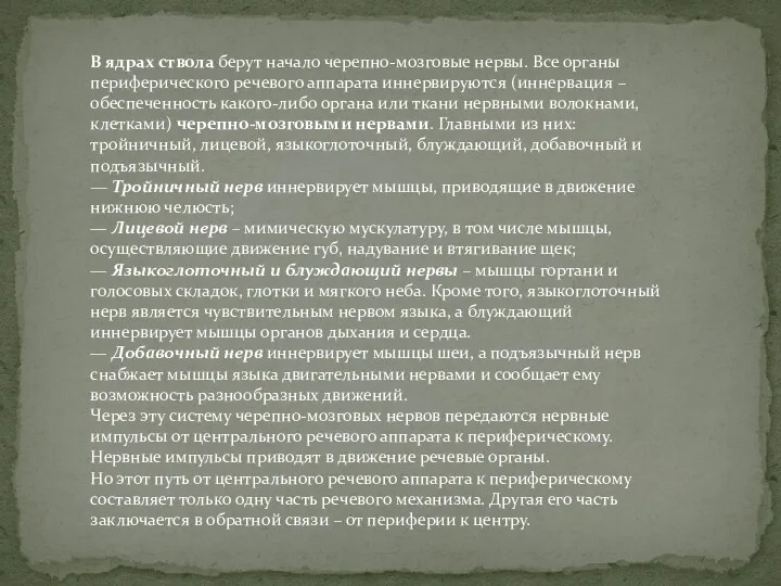 В ядрах ствола берут начало черепно-мозговые нервы. Все органы периферического