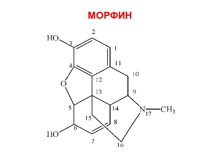 МОРФИН