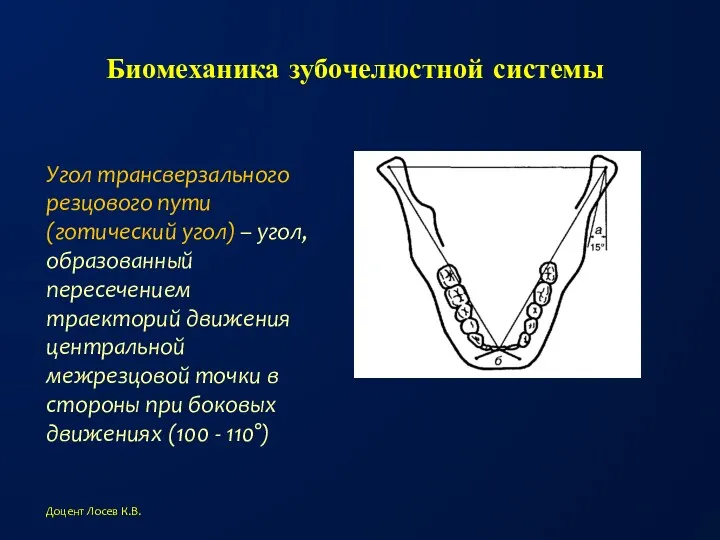 Биомеханика зубочелюстной системы Угол трансверзального резцового пути (готический угол) – угол, образованный пересечением