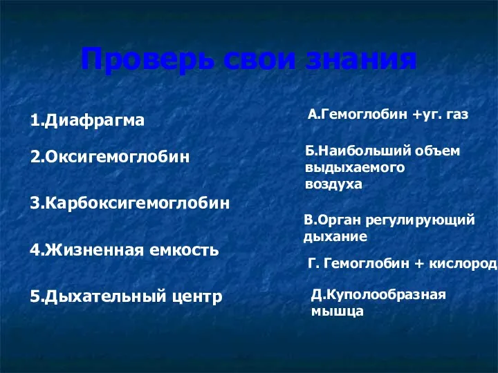 Проверь свои знания 1.Диафрагма 2.Оксигемоглобин 3.Карбоксигемоглобин 4.Жизненная емкость 5.Дыхательный центр