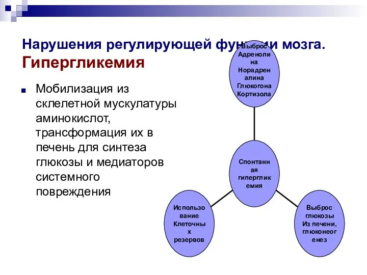 Нарушения регулирующей функции мозга. Гипергликемия Мобилизация из склелетной мускулатуры аминокислот,