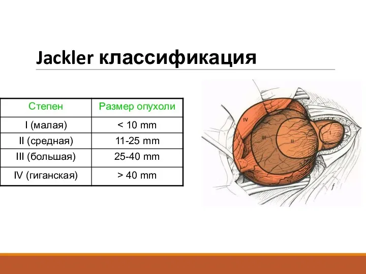 Jackler классификация