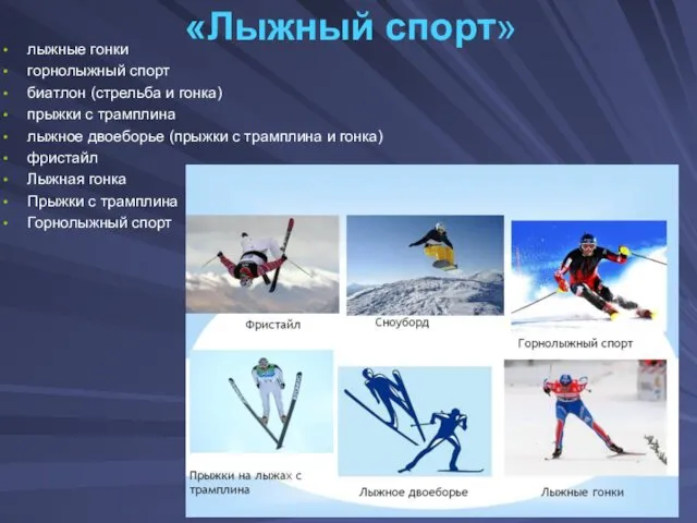 «Лыжный спорт» лыжные гонки горнолыжный спорт биатлон (стрельба и гонка)