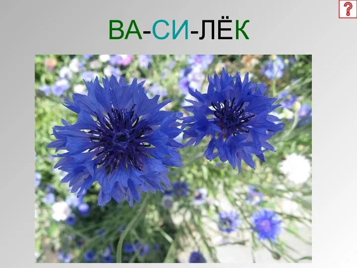 ВА-СИ-ЛЁК