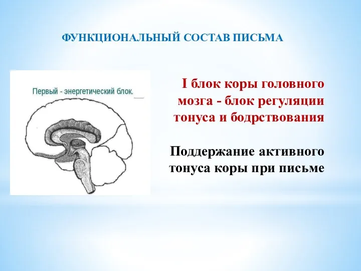 I блок коры головного мозга - блок регуляции тонуса и