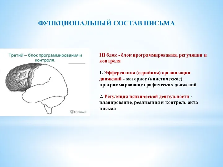 III блок - блок программирования, регуляции и контроля 1. Эфферентная