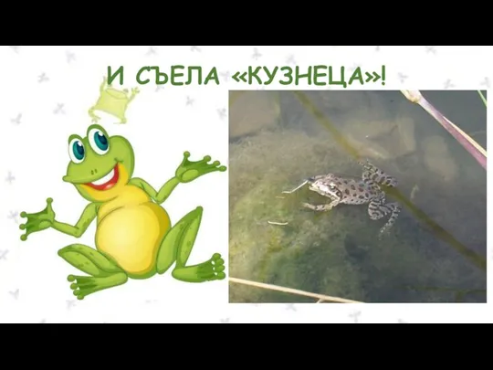 И СЪЕЛА «КУЗНЕЦА»!