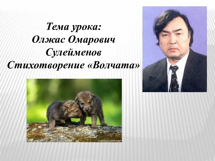 Тема урока: Олжас Омарович Сулейменов Стихотворение «Волчата»