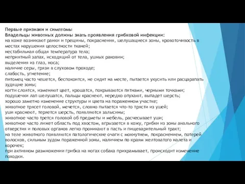 Первые признаки и симптомы Владельцы животных должны знать проявления грибковой