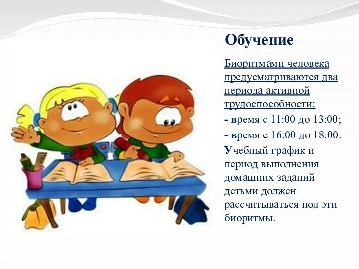 Обучение Биоритмами человека предусматриваются два периода активной трудоспособности: - время