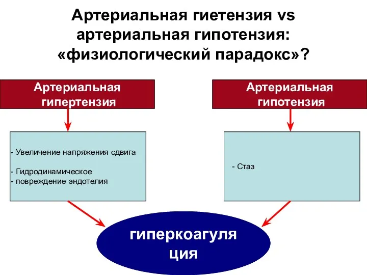 Артериальная гиетензия vs артериальная гипотензия: «физиологический парадокс»? Артериальная гипертензия Артериальная