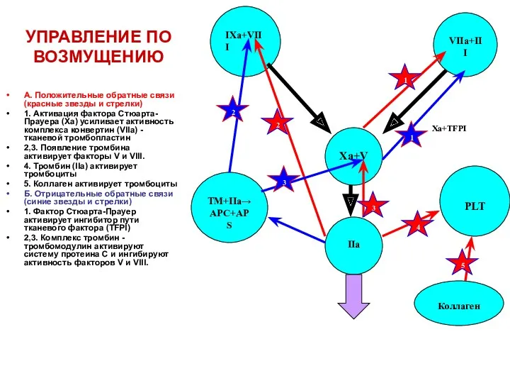 УПРАВЛЕНИЕ ПО ВОЗМУЩЕНИЮ А. Положительные обратные связи (красные звезды и