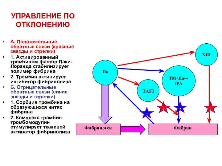 УПРАВЛЕНИЕ ПО ОТКЛОНЕНИЮ А. Положительные обратные связи (красные звезды и