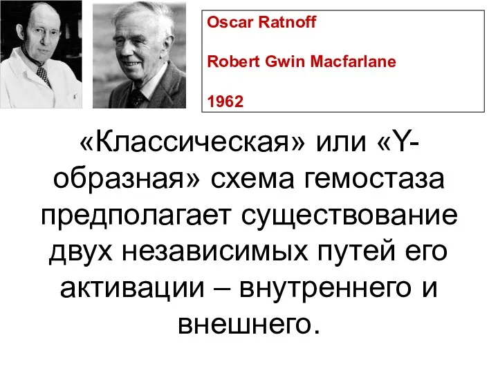 «Классическая» или «Y-образная» схема гемостаза предполагает существование двух независимых путей