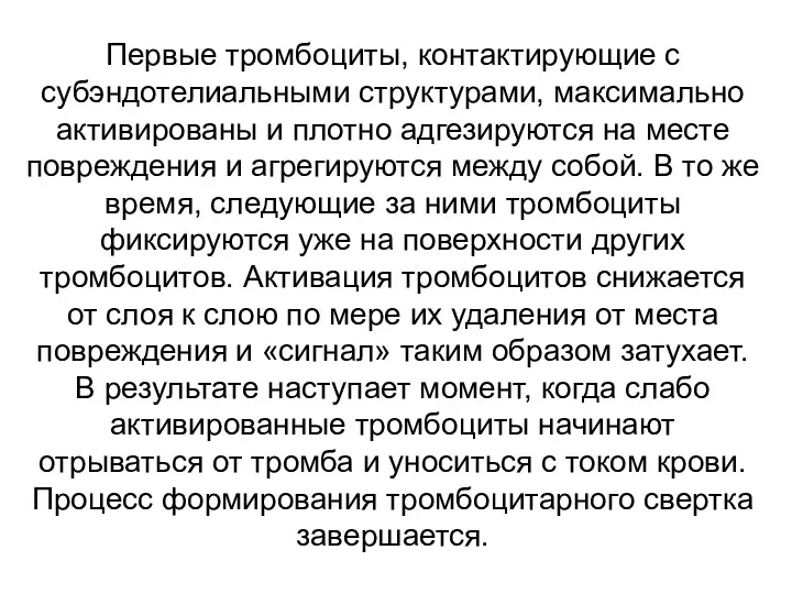 Первые тромбоциты, контактирующие с субэндотелиальными структурами, максимально активированы и плотно