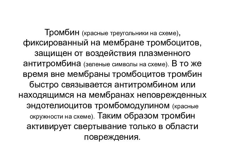 Тромбин (красные треугольники на схеме), фиксированный на мембране тромбоцитов, защищен