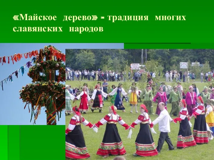 «Майское дерево» - традиция многих славянских народов