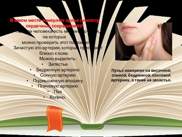 Пульс измеряют на височной, сонной, бедренной, локтевой артериях, а также