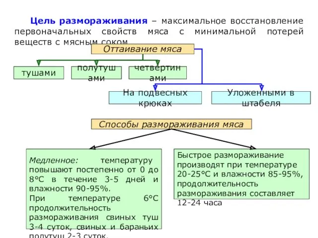 Цель размораживания – максимальное восстановление первоначальных свойств мяса с минимальной