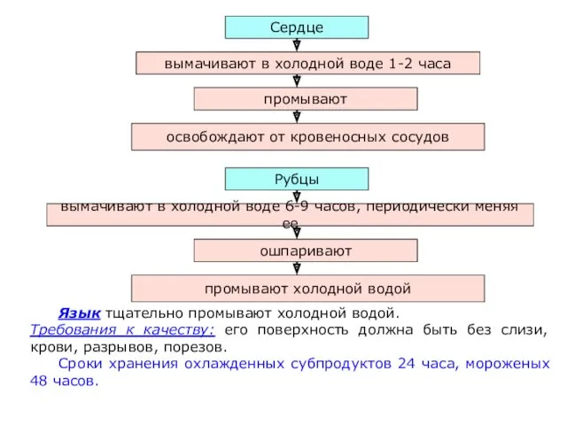 Язык тщательно промывают холодной водой. Требования к качеству: его поверхность