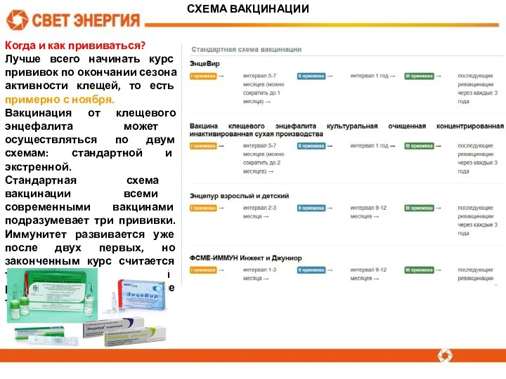 СХЕМА ВАКЦИНАЦИИ Когда и как прививаться? Лучше всего начинать курс