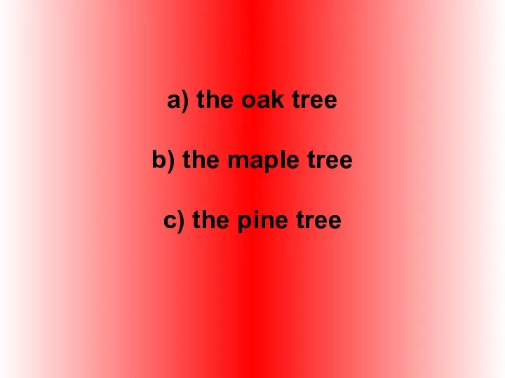 a) the oak tree b) the maple tree c) the pine tree