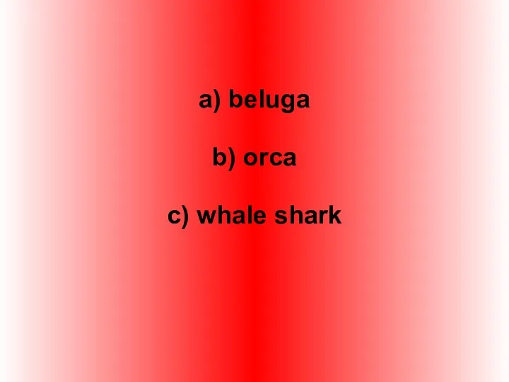 a) beluga b) orca c) whale shark