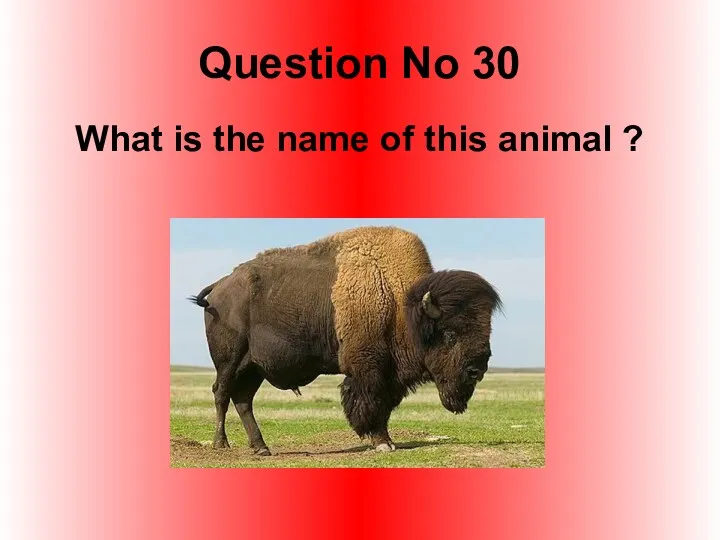 Question No 30 What is the name of this animal ?