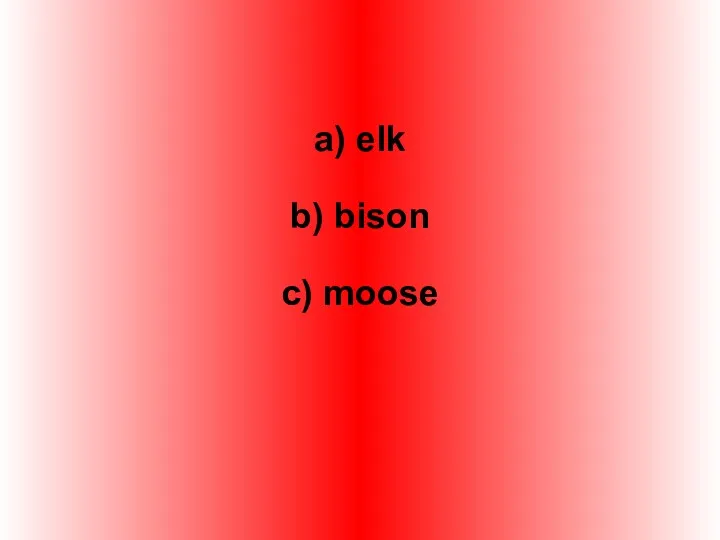 a) elk b) bison c) moose