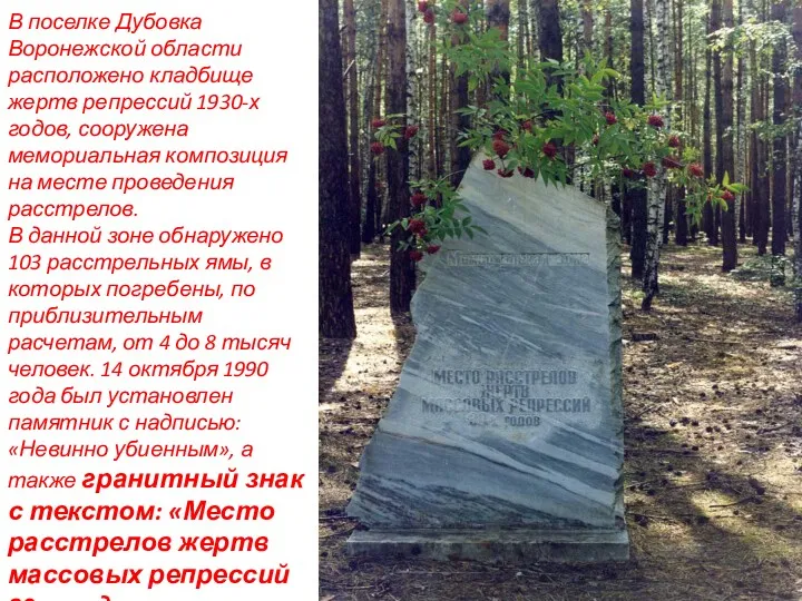 В поселке Дубовка Воронежской области расположено кладбище жертв репрессий 1930-х