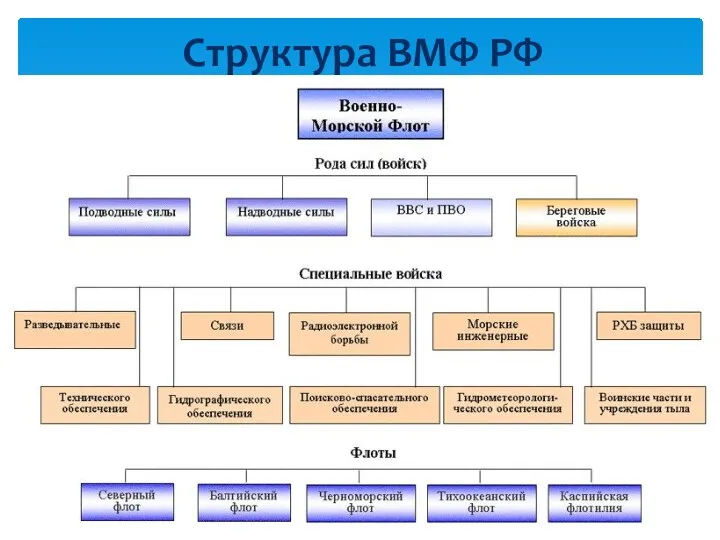 Структура ВМФ РФ