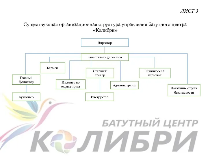 Существующая организационная структура управления батутного центра «Колибри» ЛИСТ 3 Директор