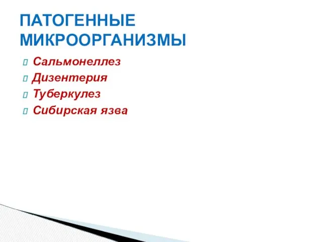 ПАТОГЕННЫЕ МИКРООРГАНИЗМЫ Сальмонеллез Дизентерия Туберкулез Сибирская язва