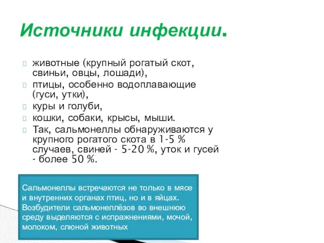 Источники инфекции. животные (крупный рогатый скот, свиньи, овцы, лошади), птицы,