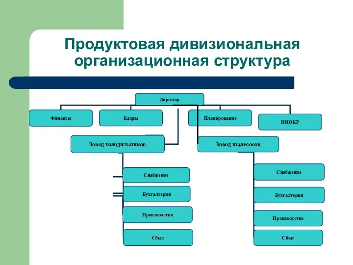 Продуктовая дивизиональная организационная структура Директор Финансы Кадры Планирование НИОКР Завод