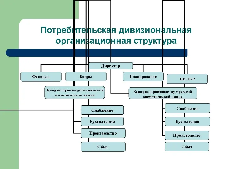 Потребительская дивизиональная организационная структура