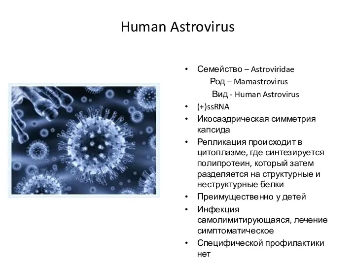 Human Astrovirus Семейство – Astroviridae Род – Mamastrovirus Вид -