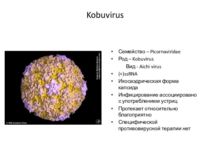Kobuvirus Семейство – Picornaviridae Род – Kobuvirus Вид - Aichi