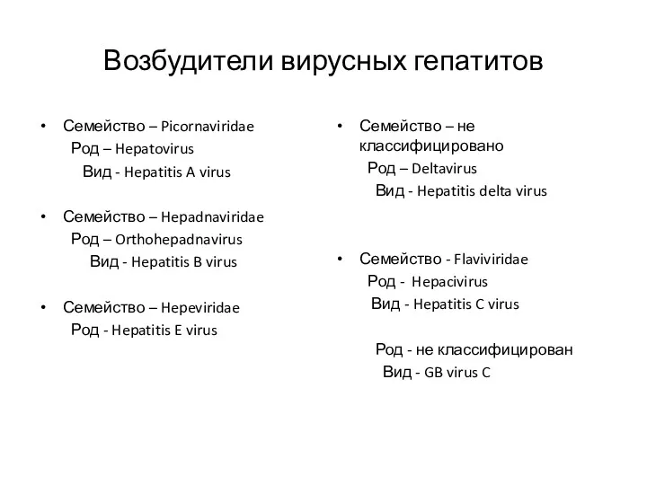 Возбудители вирусных гепатитов Семейство – Picornaviridae Род – Hepatovirus Вид