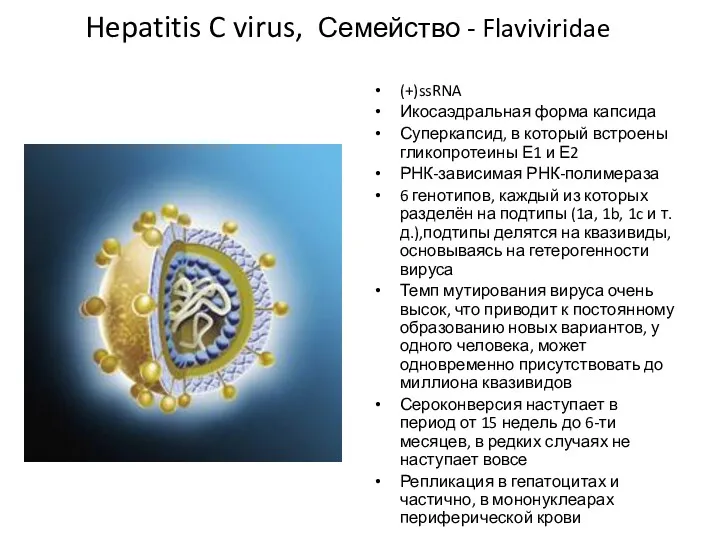 Hepatitis C virus, Семейство - Flaviviridae (+)ssRNA Икосаэдральная форма капсида