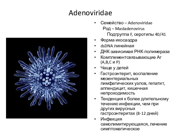 Adenoviridae Семейство – Adenoviridae Род – Mastadenovirus Подгруппа F, серотипы