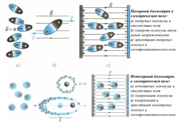 Неполярный диэлектрик в электрическом поле: а) неполярные молекулы в отсутствие