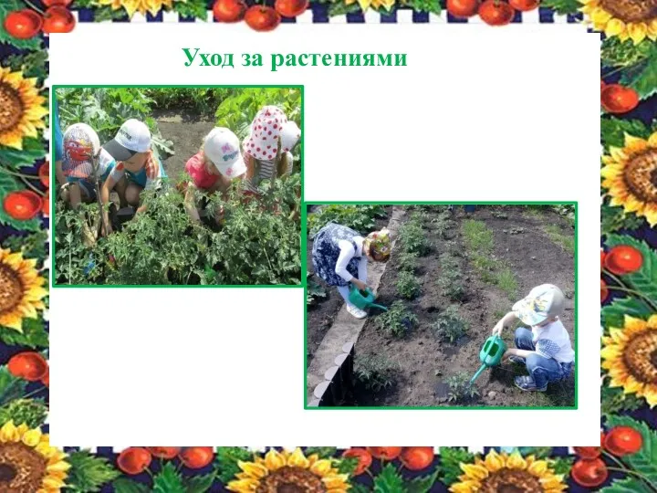 Уход за растениями