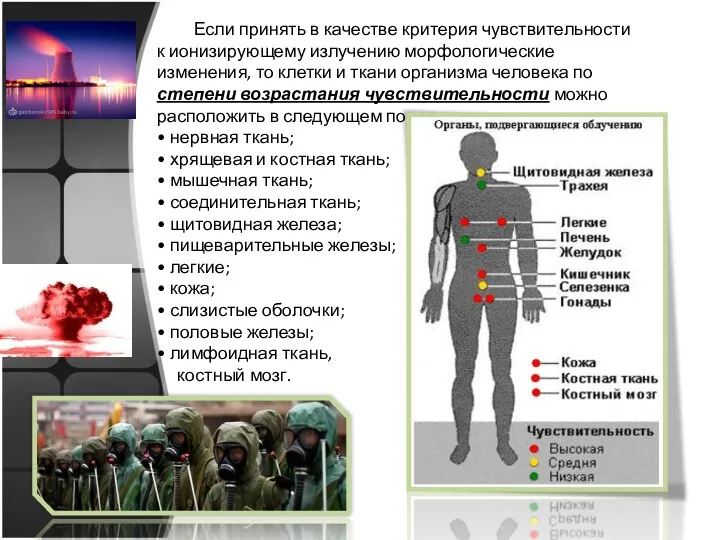 Если принять в качестве критерия чувствительности к ионизирующему излучению морфологические