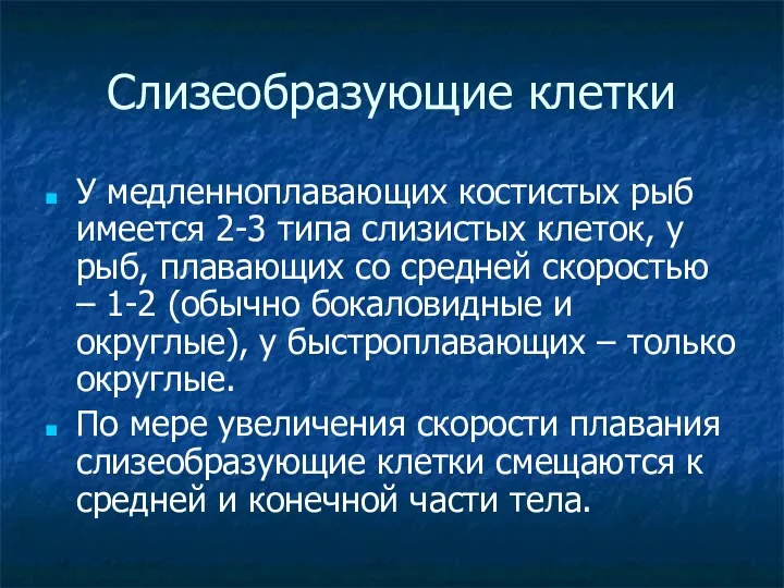 Слизеобразующие клетки У медленноплавающих костистых рыб имеется 2-3 типа слизистых