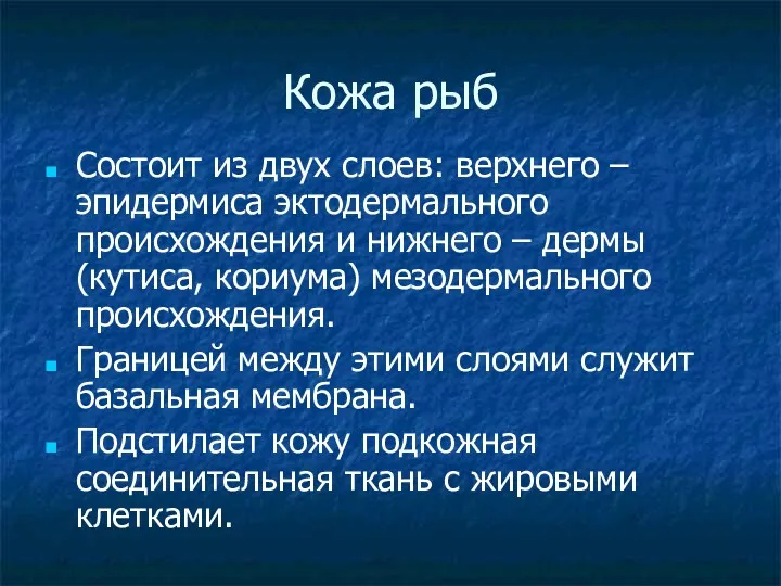 Кожа рыб Состоит из двух слоев: верхнего – эпидермиса эктодермального